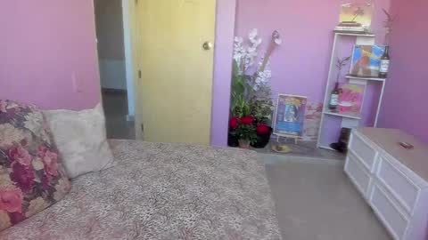 swettcabol online show from 01-07-25, 06:56