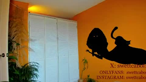 swettcabol online show from 04-23-26, 08:44