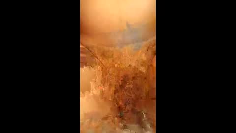 swiri123 online show from 02-28-26, 11:11