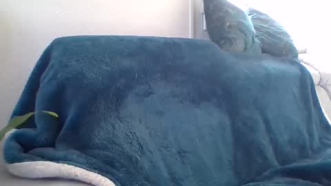 swissride online show from 02-27-25, 01:38