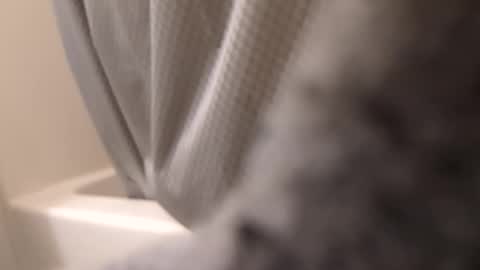 Snapshot of swollpole2112 chatting on 09-14-25, 06:12 swollpole2112 online show from 09-14-25, 06:12