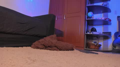 Syd online show from 12-18-24, 02:32