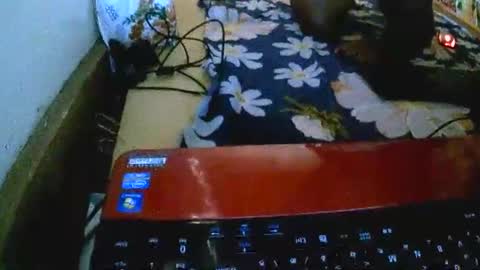 sylviasexy27 online show from 11-18-25, 09:36