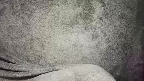 t0ny_cawk online show from 12-22-24, 07:54