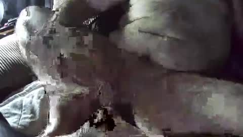 tacozod online show from 01-02-25, 10:33