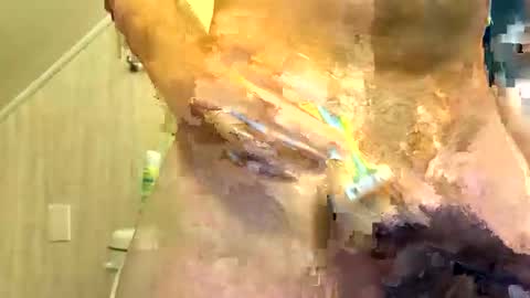 tailblazzer online show from 10-14-25, 10:49