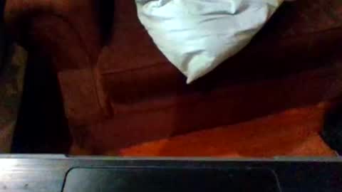 tal3ntsog online show from 04-30-26, 11:20