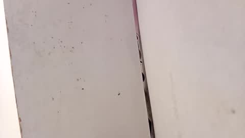 tall6feet7inch online show from 02-15-26, 03:31