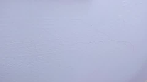 Snapshot of tamara_slimx chatting on 02-09-25, 09:47 Tamara online show from 02-09-25, 09:47