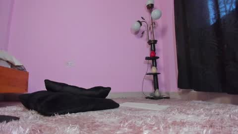 Snapshot of tammy_evans chatting on 01-23-25, 03:22 TAMARA online show from 01-23-25, 03:22