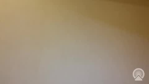 tanelure online show from 01-31-26, 08:07