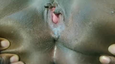 Snapshot of tarajeen chatting on 02-25-25, 03:20 Tara online show from 02-25-25, 03:20