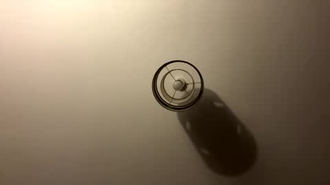 tastytexas24 online show from 04-04-26, 11:02