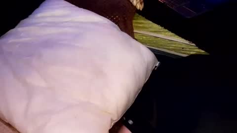 Jean pool online show from 10-31-25, 06:58