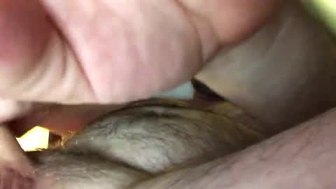 Snapshot of tbiz82 chatting on 02-27-25, 05:24 Tbiz82 online show from 02-27-25, 05:24