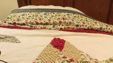 Snapshot of tc_fireman chatting on 01-06-25, 06:52 tc_fireman online show from 01-06-25, 06:52