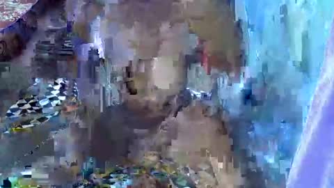 Snapshot of teabody1 chatting on 03-23-26, 06:45 teabody1 online show from 03-23-26, 06:45