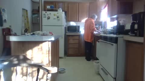 Teak online show from 02-18-25, 08:58