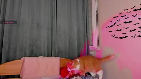 teaseme_bella online show from 07-18-26, 07:17