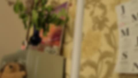 Snapshot of tender__ada chatting on 05-02-26, 09:14 Ada online show from 05-02-26, 09:14