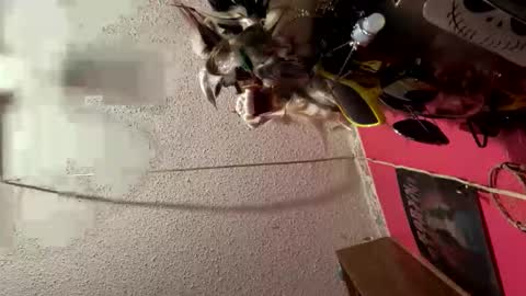 Teresa online show from 09-16-25, 01:12