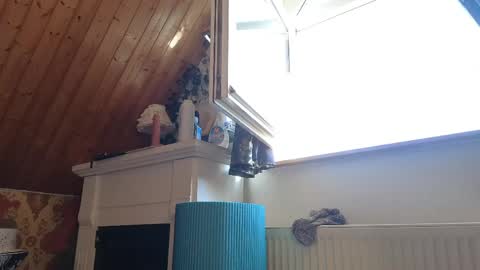 Tessa online show from 04-26-26, 02:04