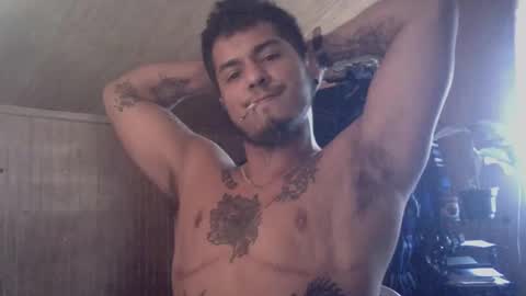 Snapshot of testotease chatting on 12-20-24, 03:53 Milo online show from 12-20-24, 03:53