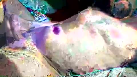 th3darksideofthemoon online show from 02-26-25, 02:15