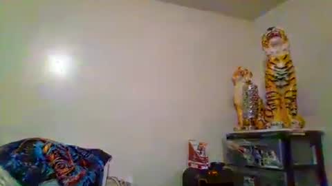 thatgirl4201 online show from 11-15-25, 05:27