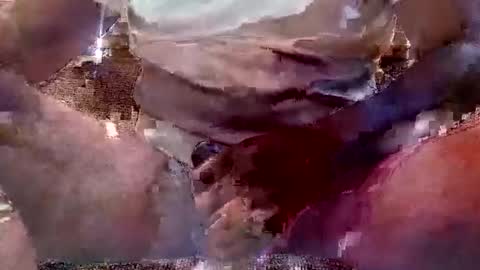 Snapshot of thatguy_bda22 chatting on 02-11-25, 01:51 That Guy J online show from 02-11-25, 01:51