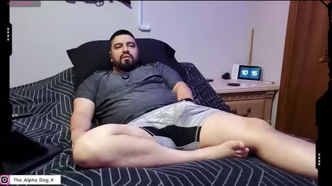 the_alpha_dog_xxx online show from 11-17-25, 04:13