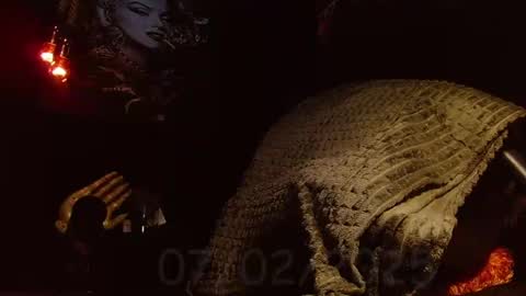 GIORGGIO online show from 02-07-25, 03:30