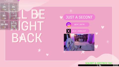 Snapshot of the_cat_girl_ chatting on 01-13-25, 09:52 i am Cat  online show from 01-13-25, 09:52