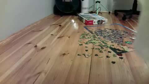 Snapshot of the_naked_pianists chatting on 09-19-25, 09:26 Stephan 34 Cassandra 25 online show from 09-19-25, 09:26