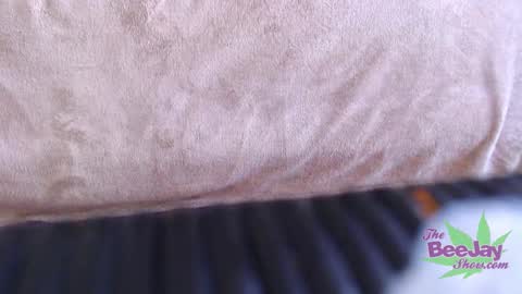 TheBeeJayShow online show from 12-04-24, 01:36