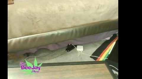 Snapshot of thebeejayshow chatting on 05-23-26, 01:48 TheBeeJayShow online show from 05-23-26, 01:48