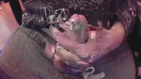 The Fox  The Cat online show from 01-08-25, 06:31