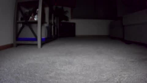 Snapshot of thegreat6268469 chatting on 12-24-24, 10:44 thegreat6268469 online show from 12-24-24, 10:44