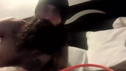 theh4iryfi5h online show from 02-21-26, 12:28