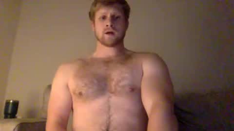 Snapshot of thehairyprince chatting on 02-24-25, 01:02 Harry online show from 02-24-25, 01:02