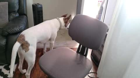 thekodyy online show from 11-15-25, 12:56