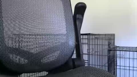 themaneb online show from 10-23-25, 02:49