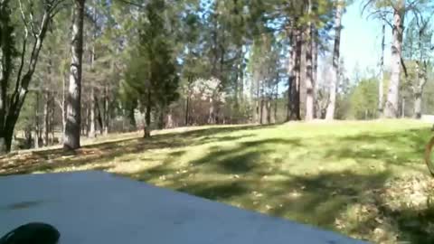 Daisy and Tim online show from 03-19-26, 06:12