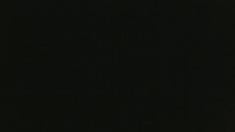 Snapshot of thenudedoodler chatting on 12-08-24, 05:44 JohnSilver online show from 12-08-24, 05:44