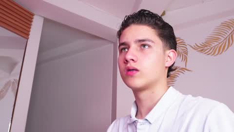 Snapshot of theohawke_ chatting on 01-28-25, 01:49 THEO- MATEO online show from 01-28-25, 01:49