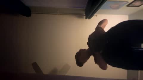 theonlyboi43ver online show from 01-02-25, 01:49