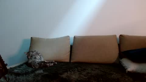 Yoshi online show from 01-11-25, 09:25