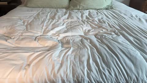 Snapshot of therealmayahill chatting on 04-13-26, 03:39 Maya Hill online show from 04-13-26, 03:39