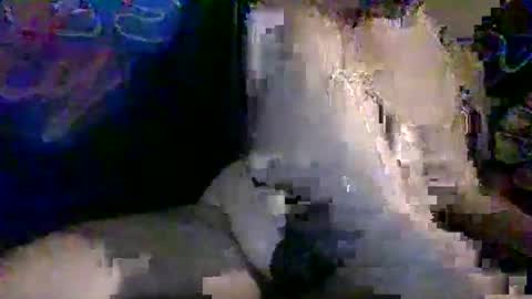 Snapshot of therealweedqueen420 chatting on 11-10-25, 06:40 Benni420 online show from 11-10-25, 06:40