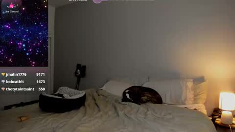 Selina Kyle online show from 01-24-25, 08:13